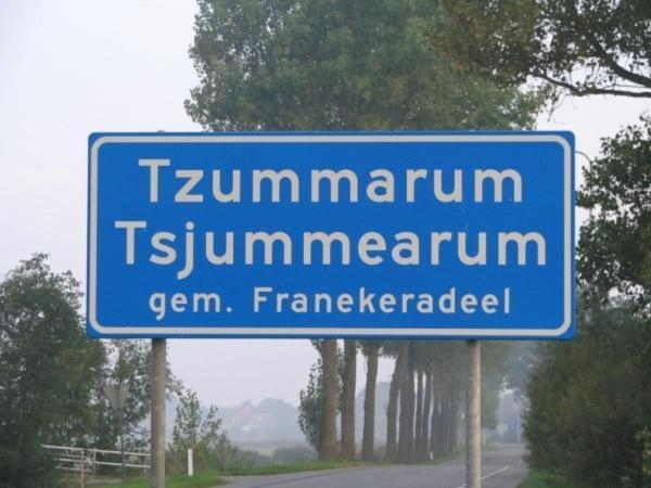 فيلا Tzummarumفي The Frisian Beach House Met Scandinavische Barrel Sauna المظهر الخارجي الصورة